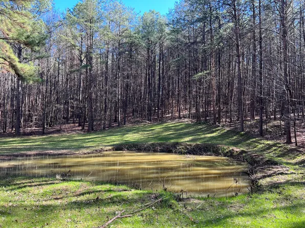 Beech Grove Rd, Townley, AL 35587