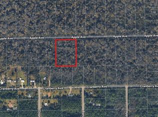 3767 & 3739 Apple Ave Lot 7, Bunnell, FL 32110