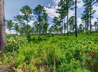 0 State Highway 30 Tract C, Buena Vista, GA 31803