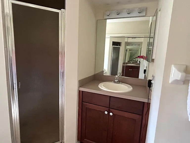Walk in Shower & Bathroom Vanity