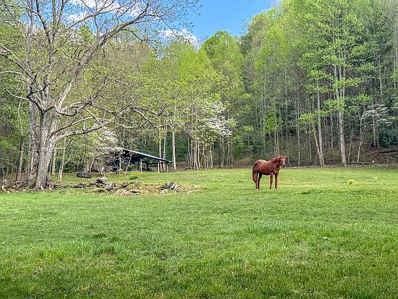 73rd image of 3956 Franks Creek Rd