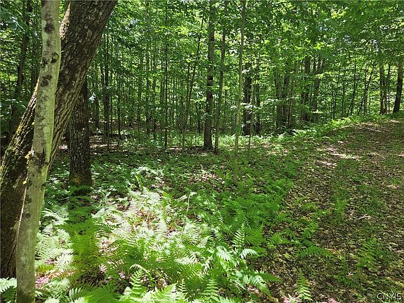 2nd image of Moose River Rd Lot 15