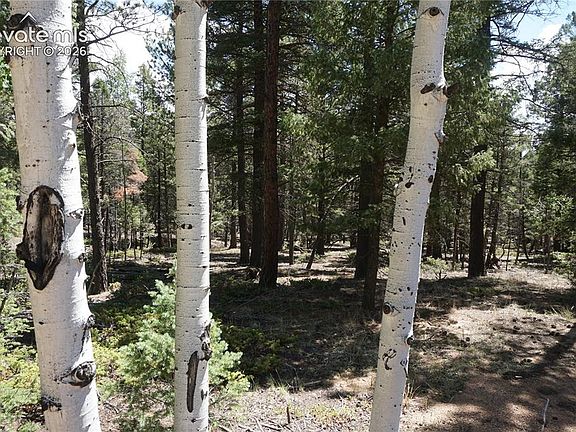 2nd image of 616 Indian Creek Rd