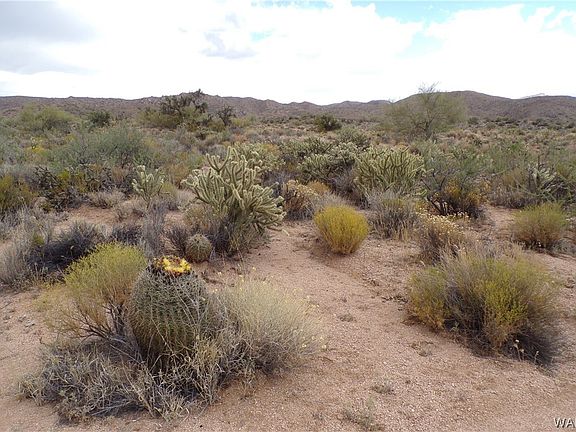 5th image of 252-02-142 Near Trout Creek