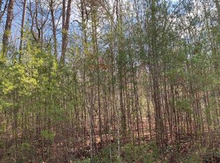 2 Cohutta Overlook Dr #II, Blue Ridge, GA 30513