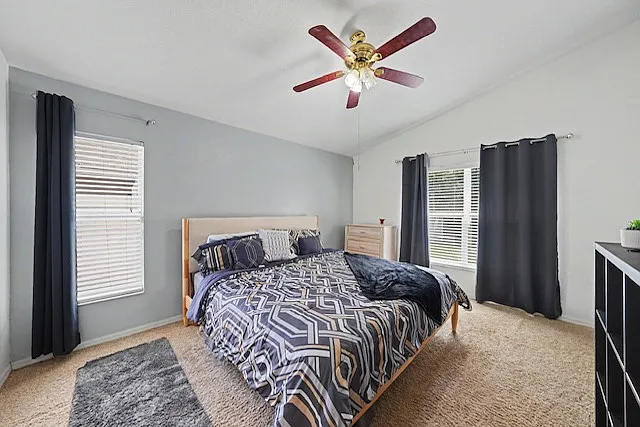 6244 Crickethollow Dr — Photo 8