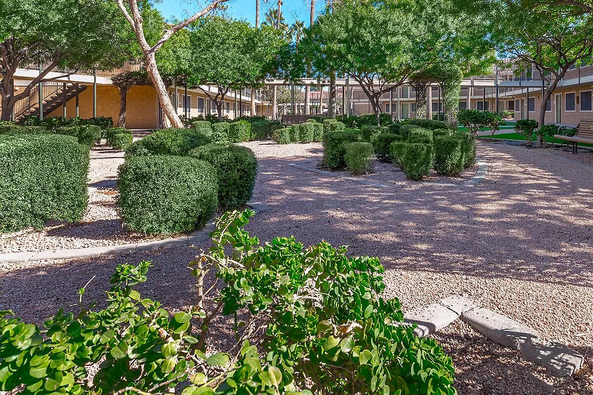 Mesa Royale 55+ Active Community — Photo 1