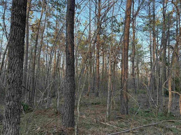1 Old Union Rd, Adamsville, TN 38310