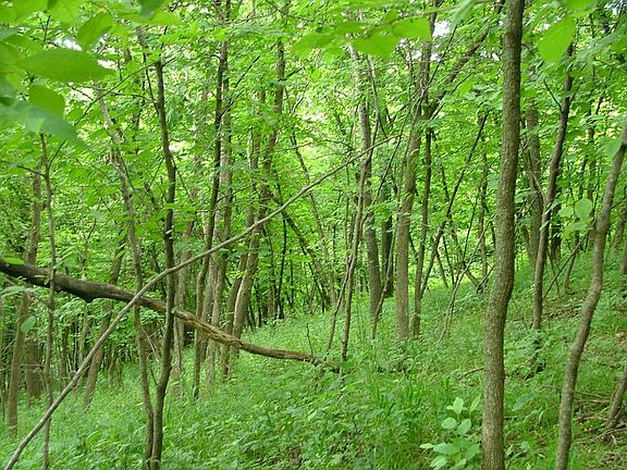 831 Monument Rd-Wathena 020