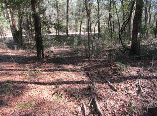 LOT 17 NW 10th St, Bell, FL 32619