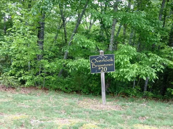 LOT 20 Brasstown Vw, Brasstown, NC 28902