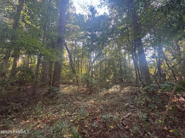 N Ave, Meridian, MS 39305