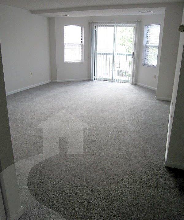 Apartment Rental Experts