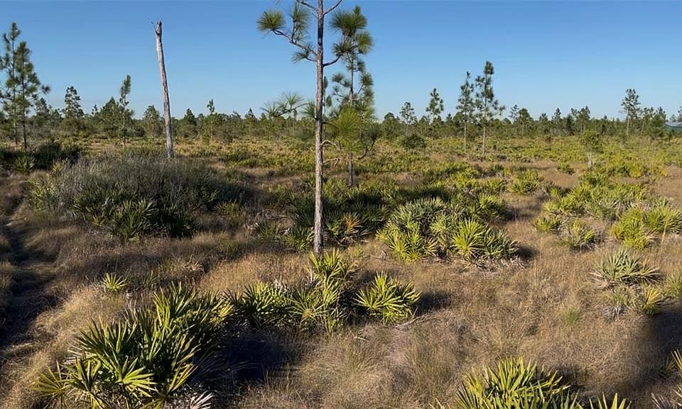 1st image of Holopaw Groves Rd