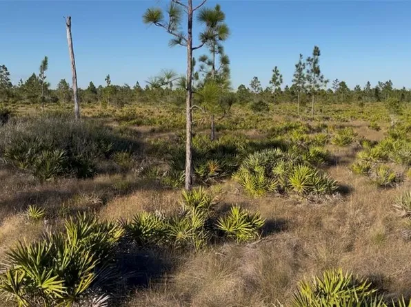 Holopaw Groves Rd, Saint Cloud, FL 34773