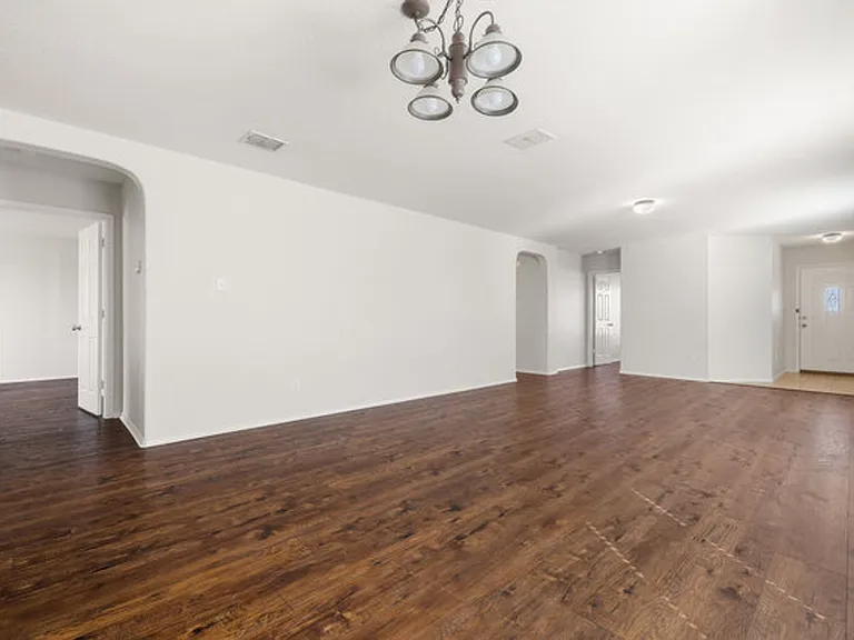 3918 Texas Hawthorn — Photo 3