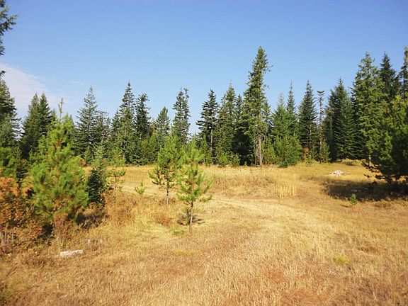 Great Acreage!