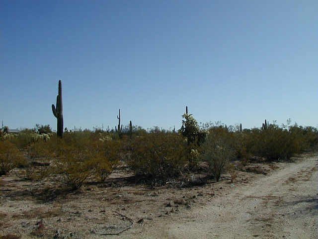 6223-pinon-cir-chandler-az-85226-apartments-for-rent-zillow