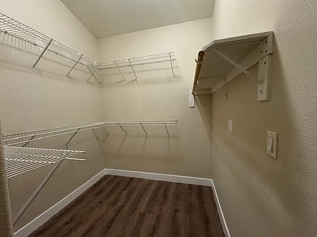 509 First Light St — Photo 20