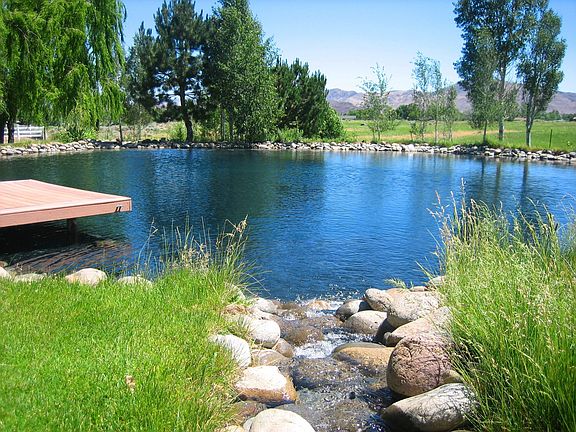 swimming pond
