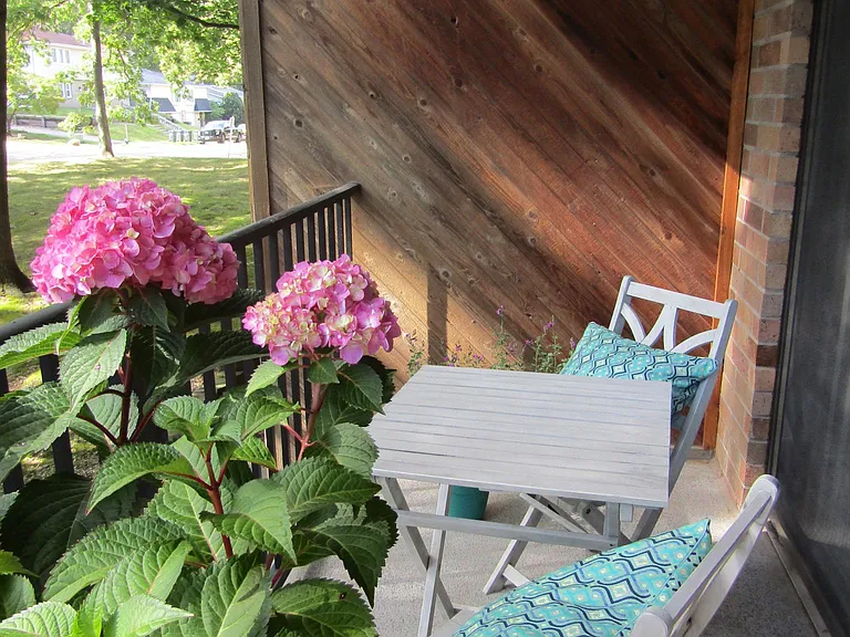 Forest Ridge Apartments — Photo 7