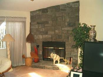 Wood burning fireplace