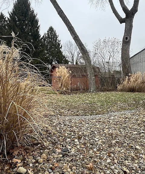 Small backyard with trees.