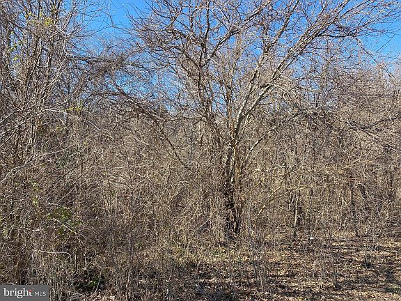 2nd image of 0 Hammond School Rd