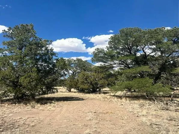 83 Hough Ln, Pie Town, NM 87827