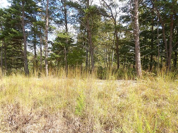 3rd image of 0 Williams Hollow Rd