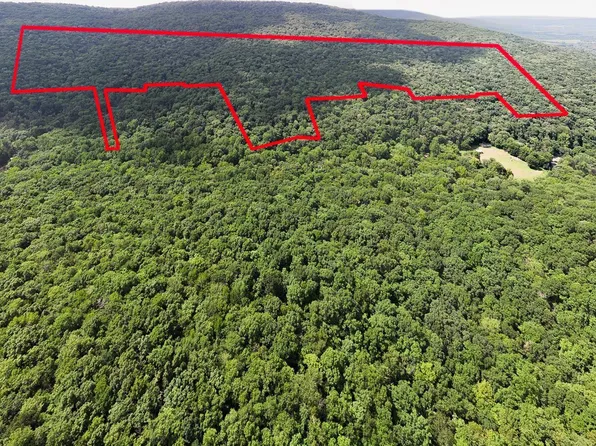 0 Hurricane Rd #0, New Market, AL 35761
