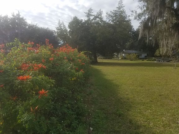 colorful privacy hedge