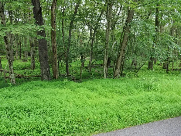 94 E Alpine Dr, Terra Alta, WV 26764