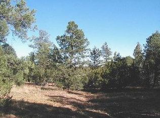 3323 Tall Trail Ln, Overgaard, AZ 85933