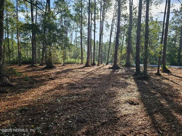 211 GEORGETOWN DENVER Road, Georgetown, FL 32139