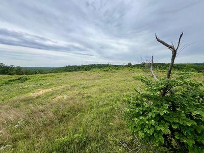 0 Sawdust Rd, Hurricane Mills, TN, 37078