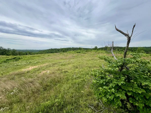 0 Sawdust Rd, Hurricane Mills, TN 37078