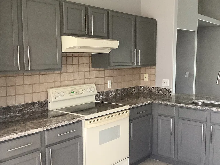 126 Oak Promenade Ct — Photo 16