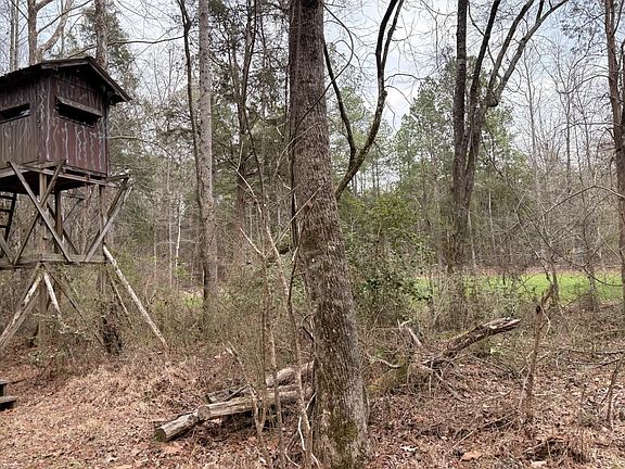 5th image of Hightower Rd