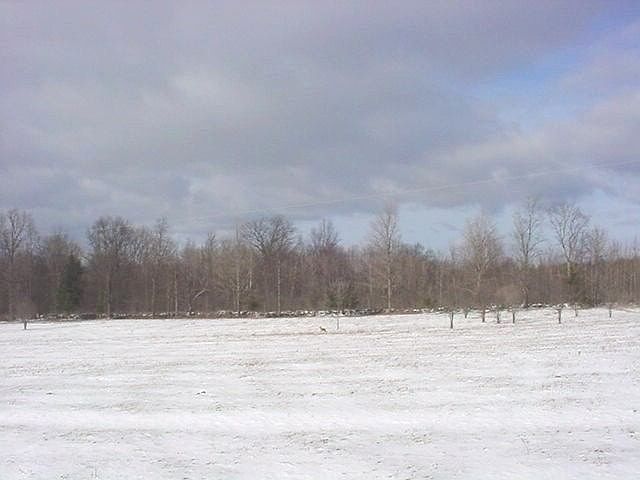 1st image of 0 FAIRBANKS Road
