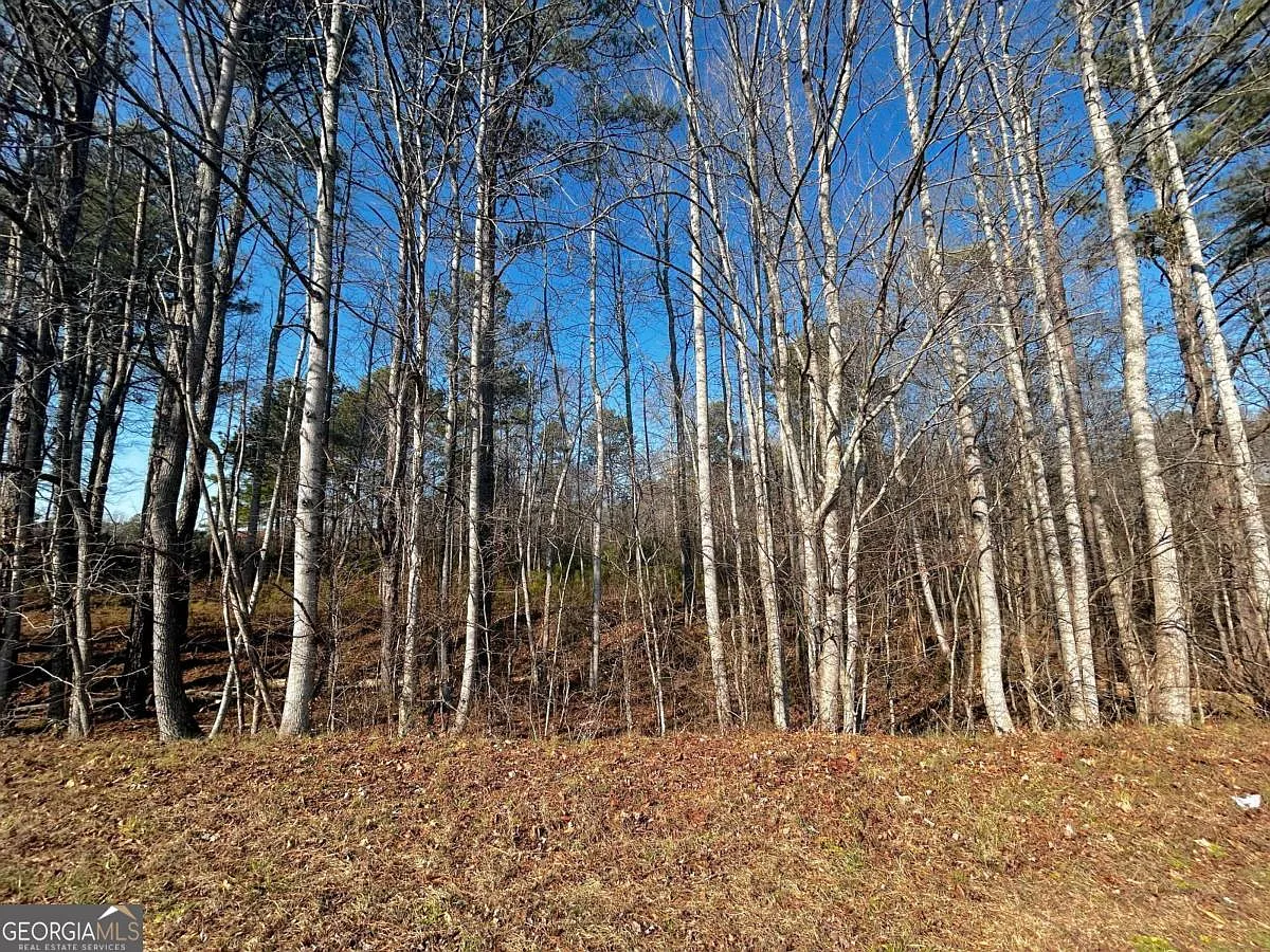 2013 Lake Paradise Rd photo 1