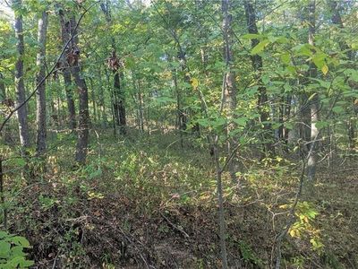 Wincanton Ln #47, Bella Vista, AR, 72715