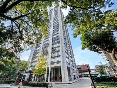 70 W Burton Pl APT 301F, Chicago, IL, 60610