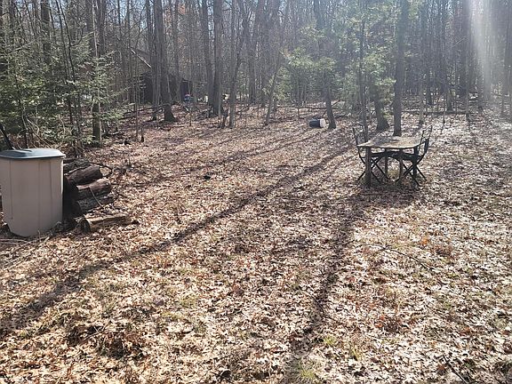 5th image of Old Pine Trl