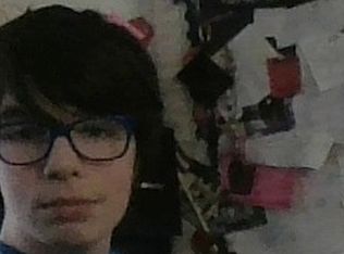 379 Windyoak Dr, Ballwin, MO 63021