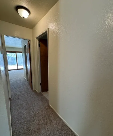 398 Corrida Dr — Photo 17