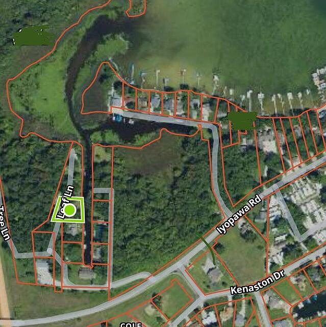 1st image of Tree Ln