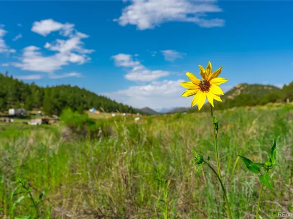 406 Ferris Drive LOT 65, Westcliffe, CO 81252