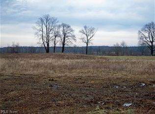 Youngstown Salem Rd, Canfield, OH 44406