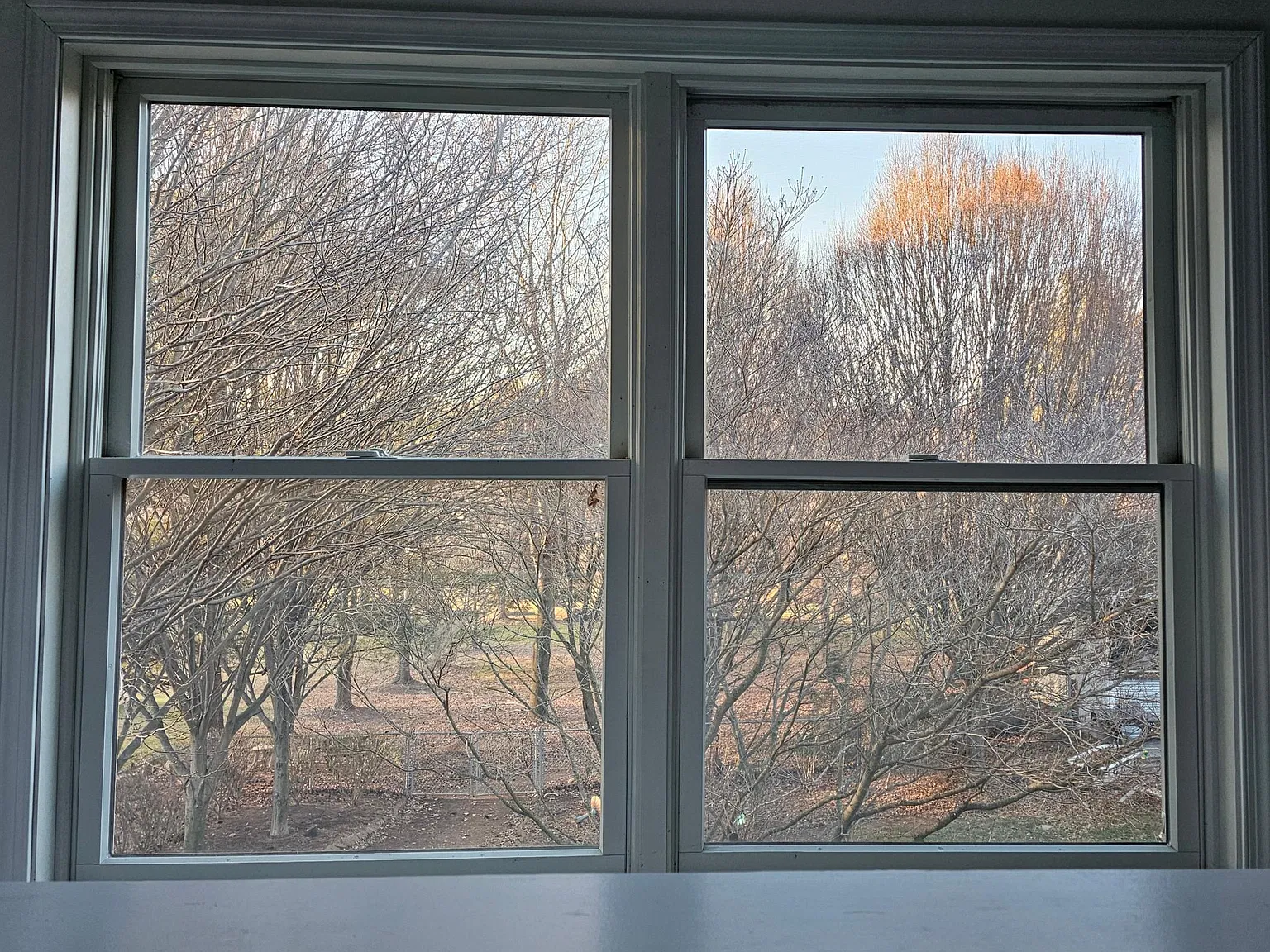 This 2nd floor studio apartment offers a tree-top view.
